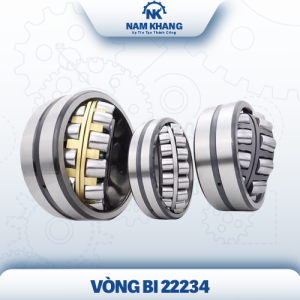Vòng Bi 22234