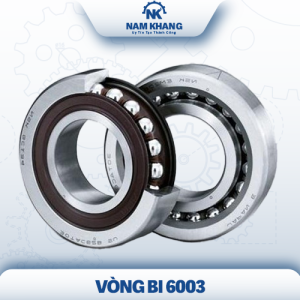 Vòng Bi 6003