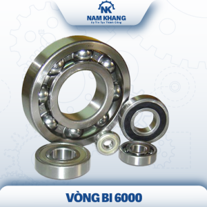 Vòng bi  6000