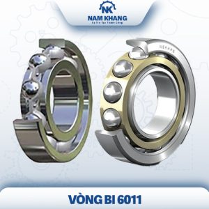 Vòng bi 6011