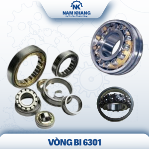 Vòng bi 6301